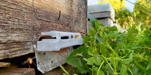 Nuevo difusor de tratamiento para abejas realizado con impresión 3D